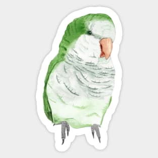 Conure veuve perruche moine souris quaker aquarelle Sticker